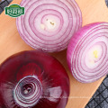 Selling chinese fresh red onion wholesale onion per ton price